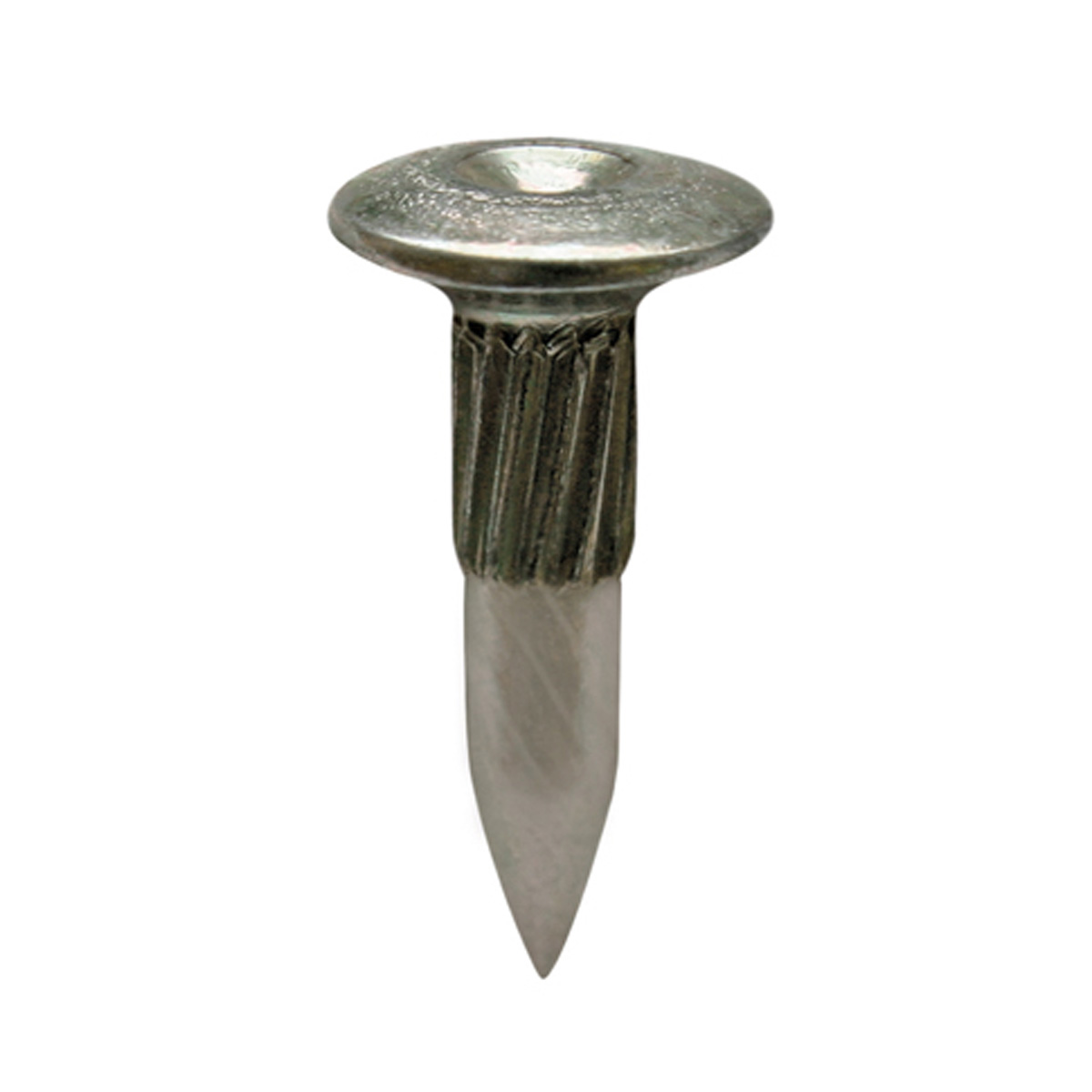 Linsenkopf-Bolzen, Kopf-Ø 15 mm verzinkt, Schaft-Ø 5 mm, Länge 30 mm